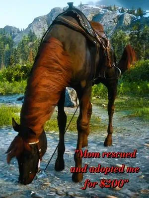 Love then all equally I promise 🤣 #creatorsearchinsights #rdr2 #reddea