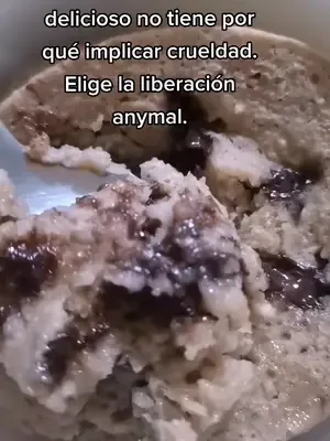 #vegana #vegan #govegan #veganismo #veganism #vegano #vegantiktok #ani