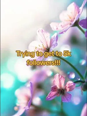 #5k #fyp