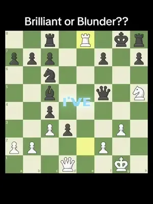 Can you find the mate or did I just blunder my rook?#chesstok #fyp #zy