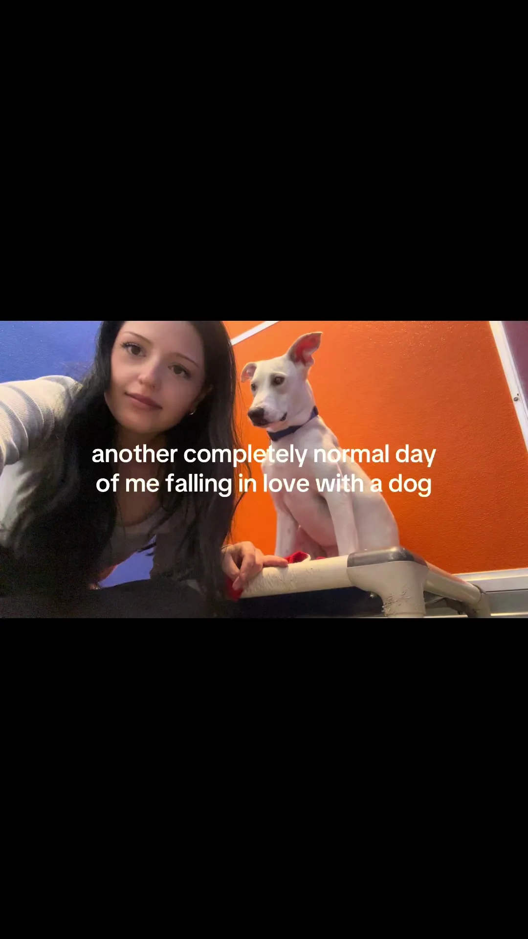 occupational hazard 🤍🥲🐾 #shelterdog #volunteering