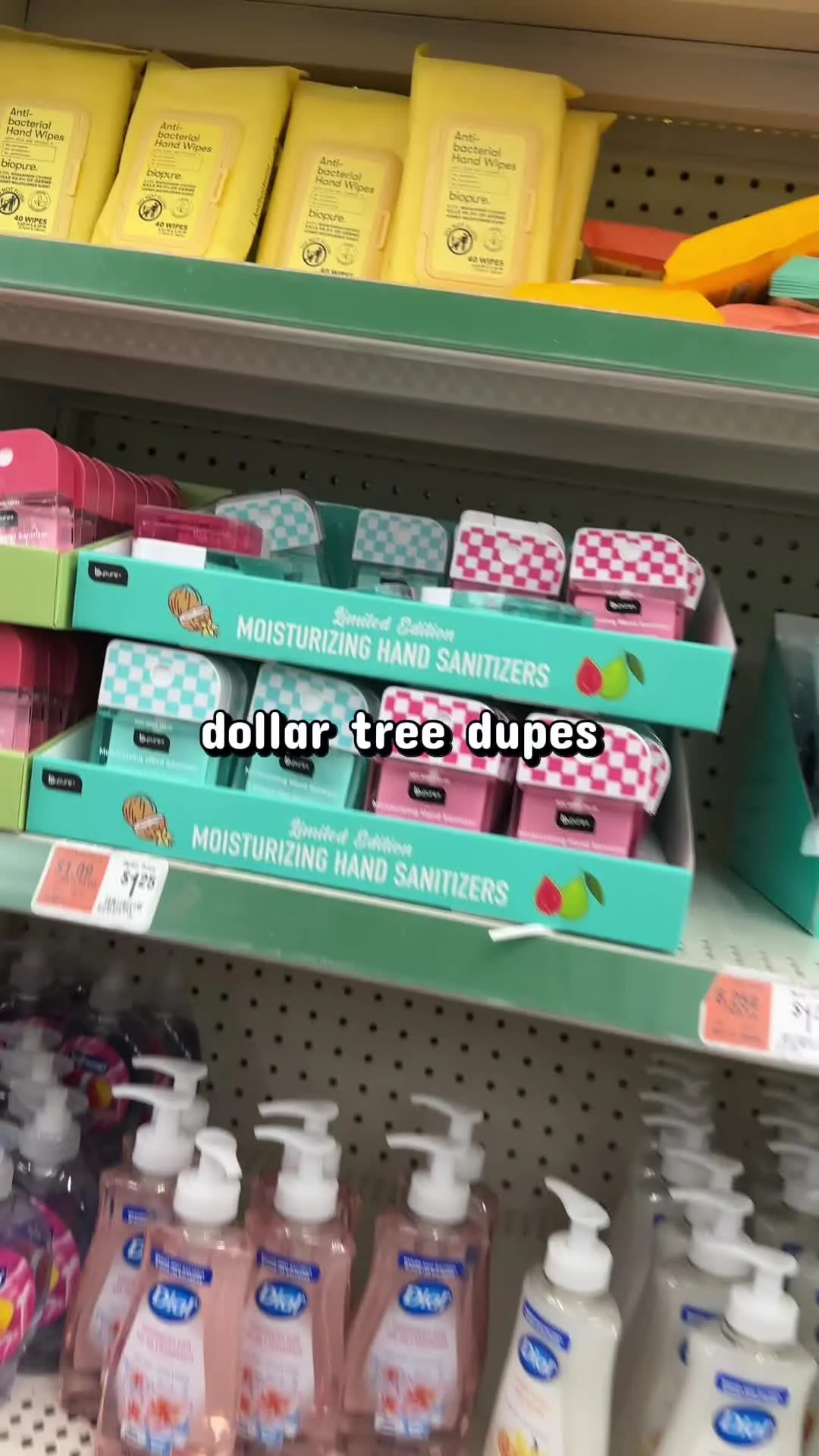 The other day at dollar tree 😍 #budgeting #dollartree #dupes