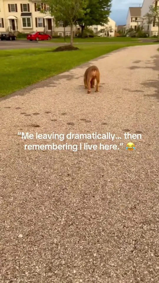 She really said, “I’m leaving this family.” Then remembered she has no