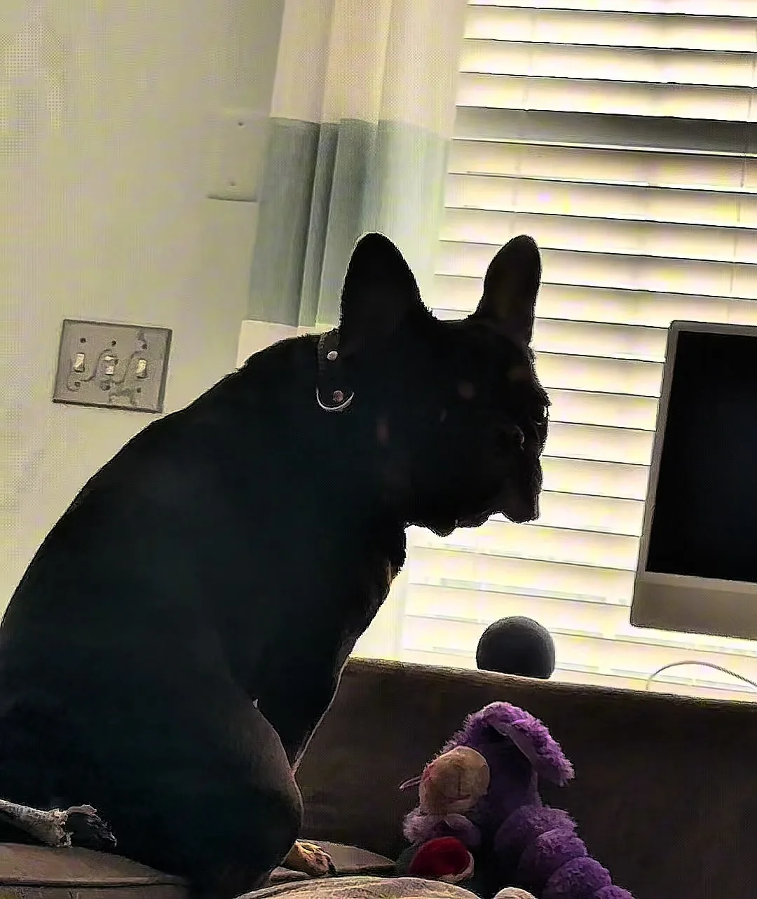 He takes his job very seriously 🫡 Keep scrolling, nothing to see here.