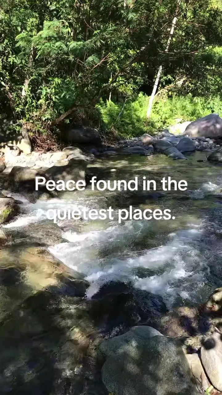 #naturetherapy #rivervibes #fyp  #peacefulmoments