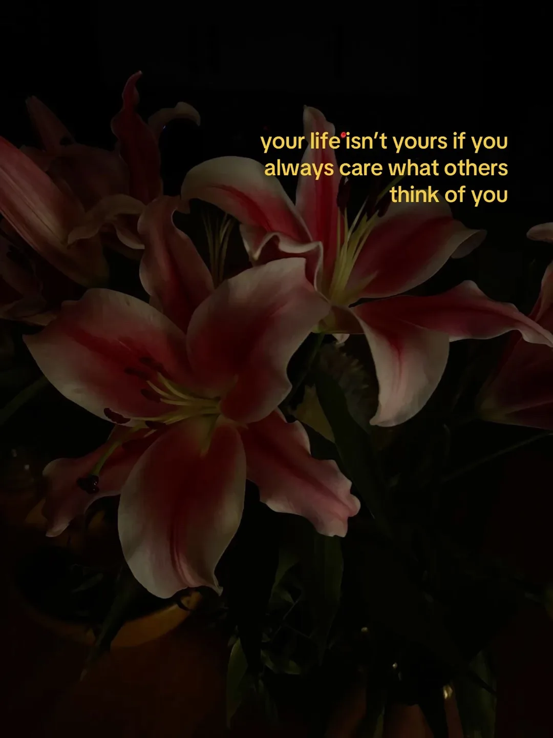 #flowers  #flowergirl  #astheticvideos  #fypシ゚viral  #inspo