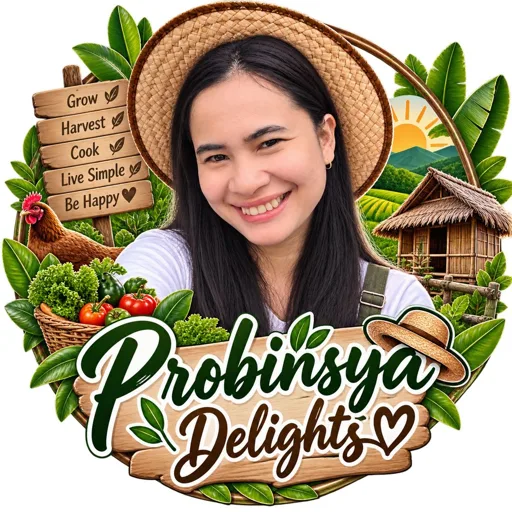 Probinsya Delights
