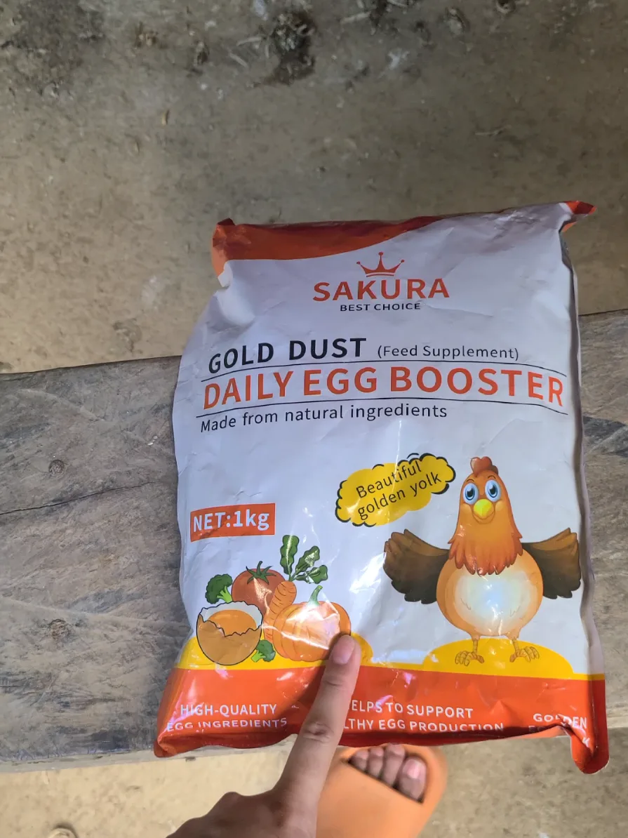 Today's harvest. + 2 eggs collected after video. @Sakura egg booster p