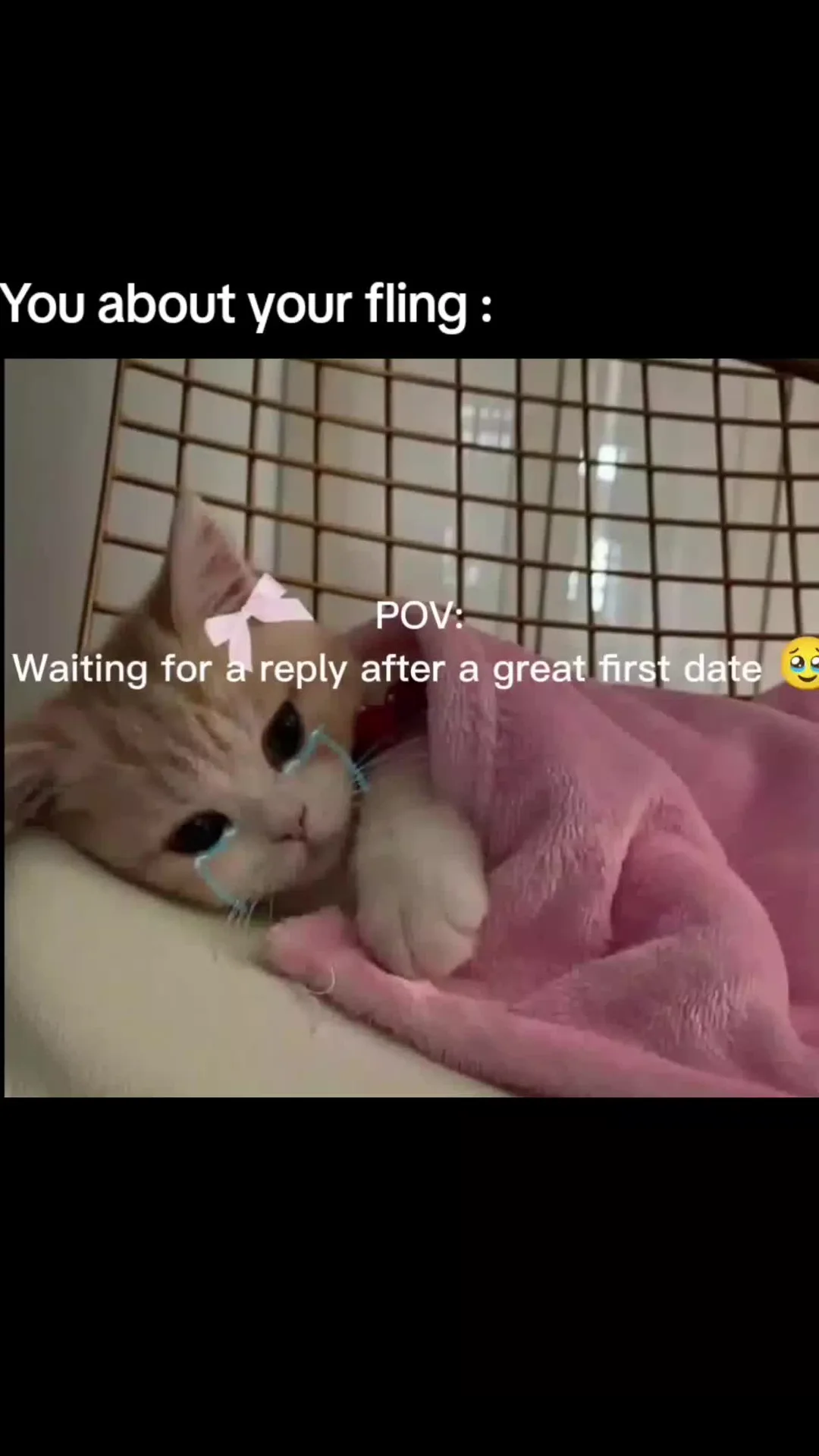 Tell me you didn't experience this ? 🤧 #fypforyou #foryou #catmeme #ca