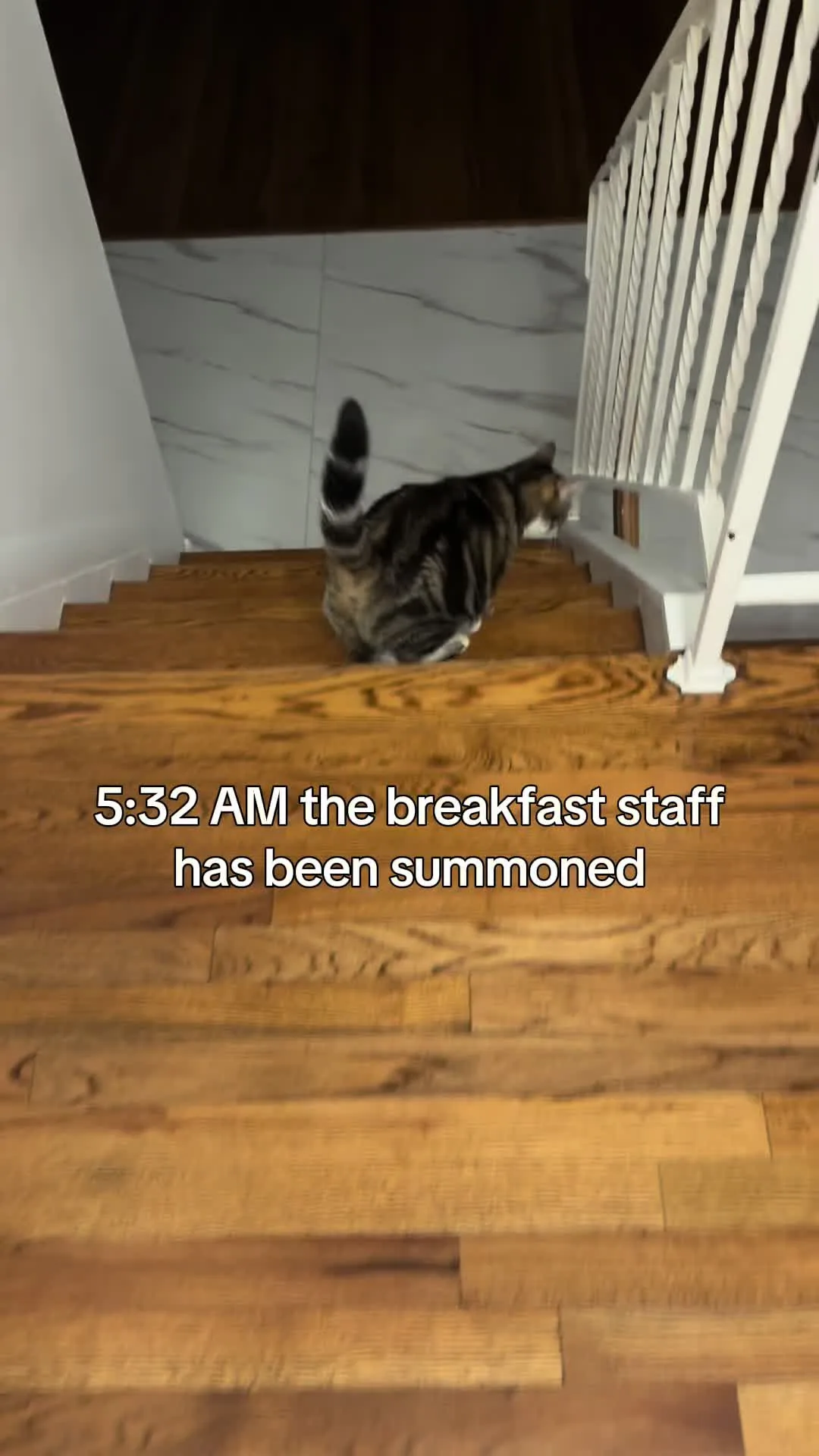 Mother was TWO minutes late with my breakfast this morning. TWO. WHOLE