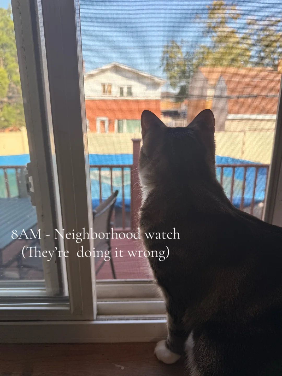 Neighborhood watch at 8, window shopping on @Joytail by 11. It’s exhau