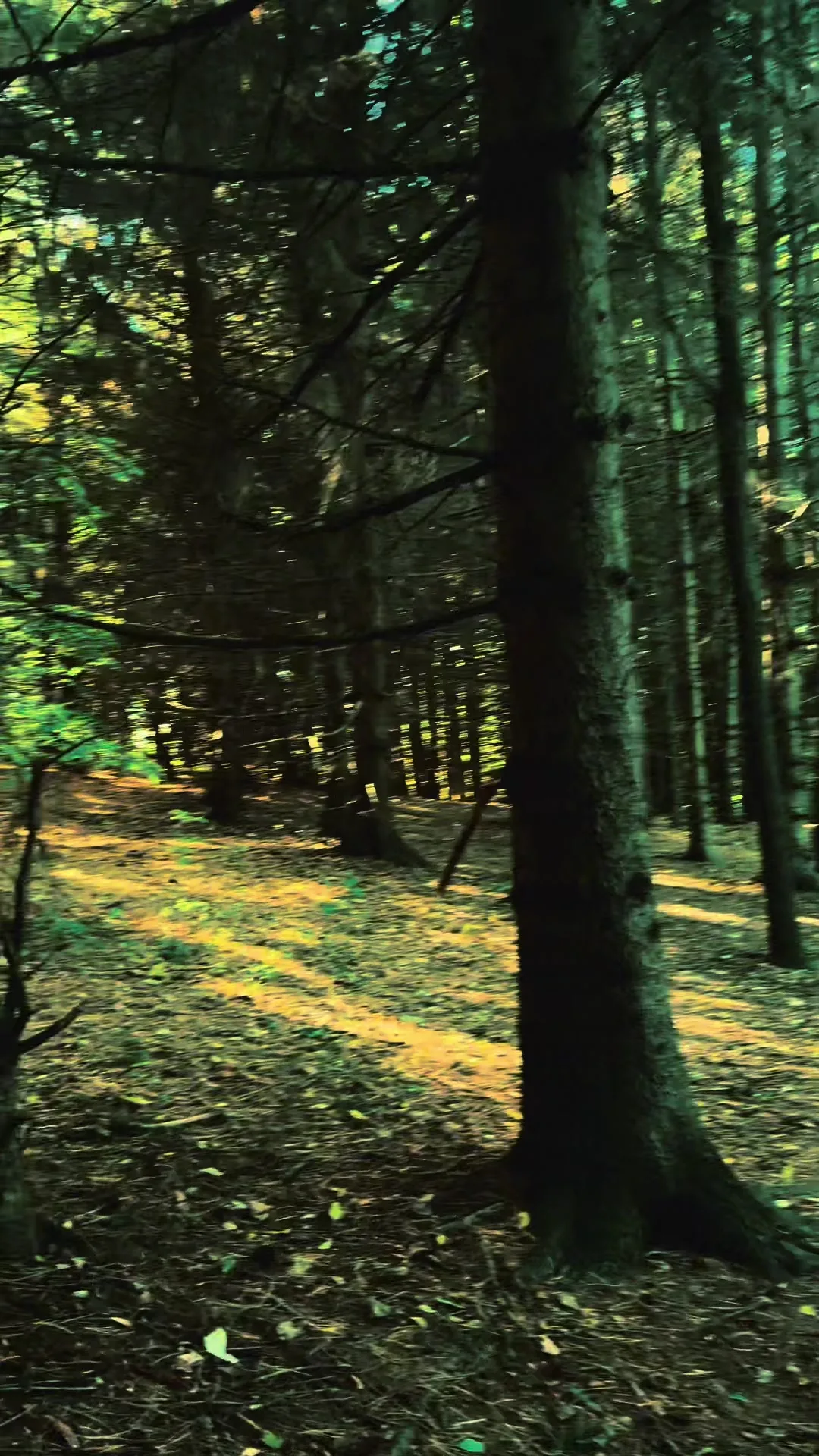 Is this giving twilight or am I tripping #twilight #twilightsaga #fypシ