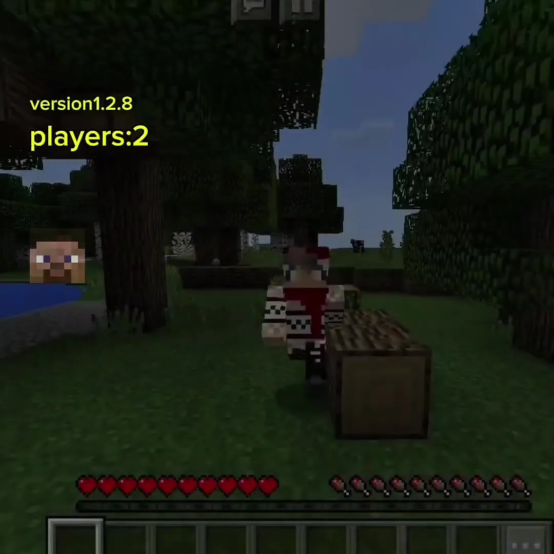 us playing everytime#trending #minecraft #fypp