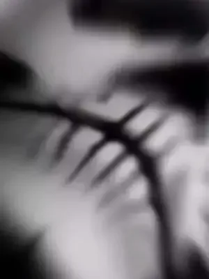 #CapCut